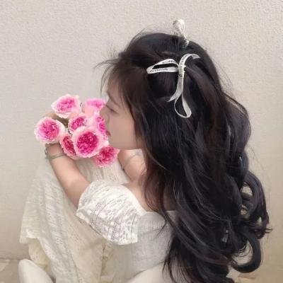 四海鲸骑第二季